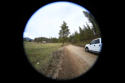 DSC_0050 (Large).JPG